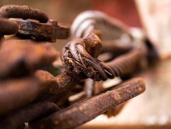 Close-up of grasshopper on rusty metal