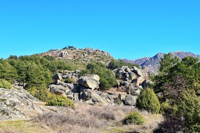 Scenic view of landscape against clear blue sky