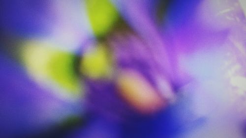 Extreme close up of blue flower