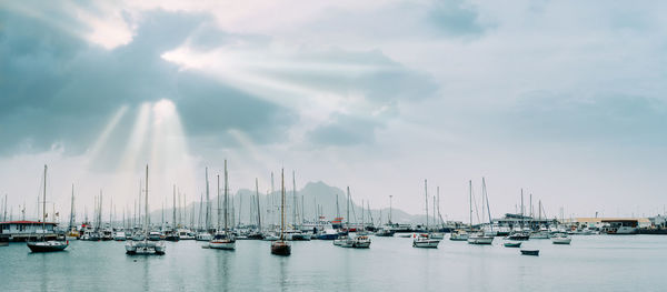 Sailboats at harbor against sky