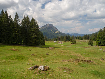 Scenic view of landscape against sky