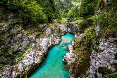 High angle view of water flowing through rocks in forest