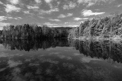 Scenic view of lake in forest against sky