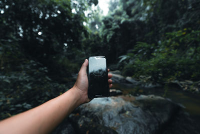 Hand holding mobile phone against trees