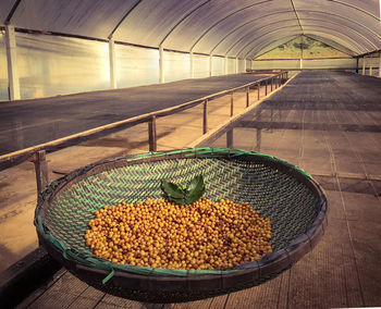 High angle view of fruits in container