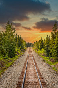 Railroad tracks amidst trees against sky during sunset