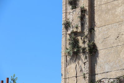 Low angle view of building against clear blue sky