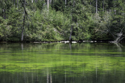 Scenic view of lake