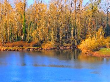 Scenic view of lake in forest during autumn