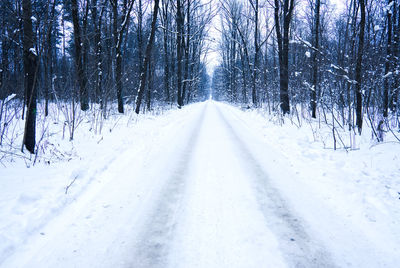 Snow covered road amidst trees during winter