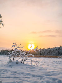 Snow covered field against sky during sunset