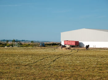 House on field against clear blue sky