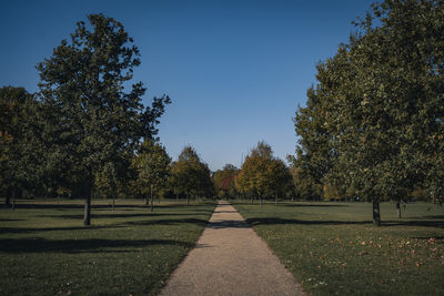 Trees in park against clear sky