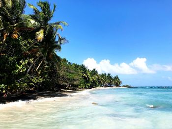 Scenic view of sea against blue sky