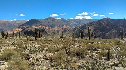 Panoramic view of landscape and mountains against blue sky