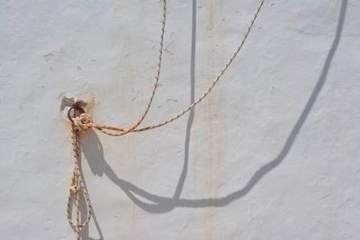 Close-up of rope tied with ring on white wall