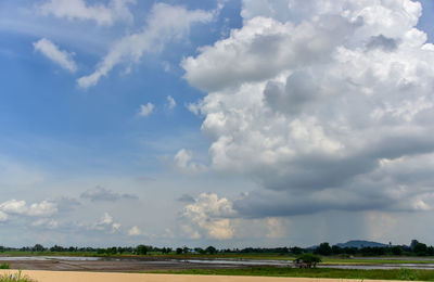 Scenic view of field against sky