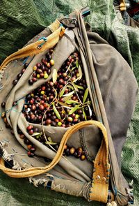 High angle view of fruits in textile bag