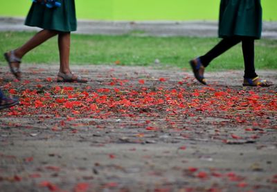 Low section of girls walking on petals over footpath