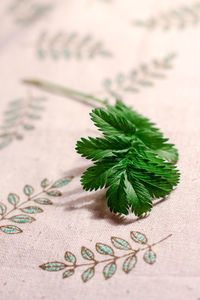 Close-up of leaves on fabric