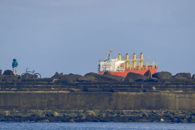 Rear view of man standing on shore against sky