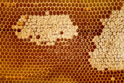 honeycomb