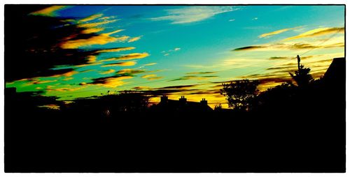 Close-up of silhouette trees against sky at sunset