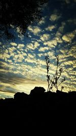 Low angle view of silhouette trees against sky during sunset