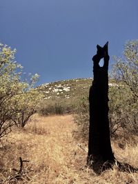 Cat on tree against sky