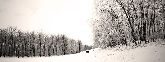 Scenic view of snow covered landscape