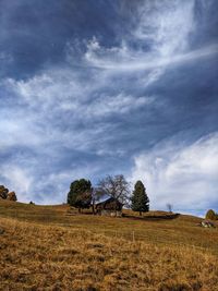 Trees on field against sky