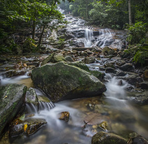 Stream flowing through rocks in forest