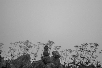 Low angle view of man and woman standing against clear sky