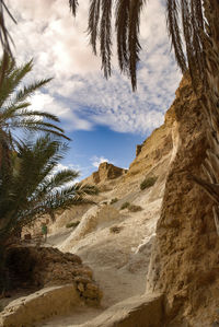 Scenic view of rock formation and palm trees against sky