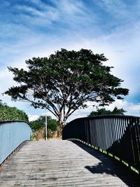 Footbridge amidst trees against sky