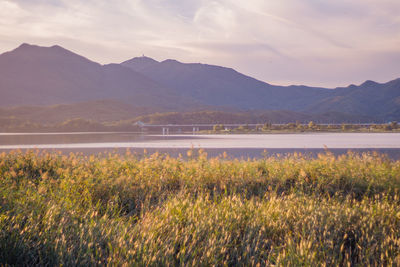 Scenic view of lake and mountains against sky