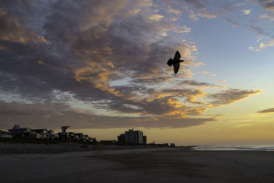 Silhouette of birds flying over sea against sky