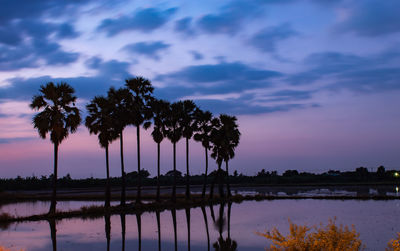 Silhouette trees by lake against sky during sunset