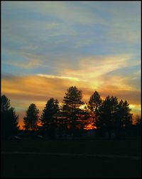 Silhouette trees against sky during sunset