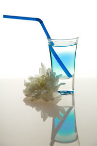 Close-up of white flowers over white background