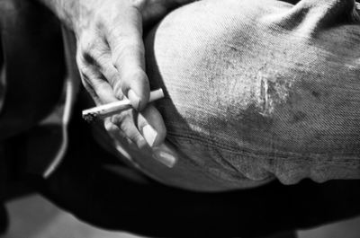 Close-up of cropped object