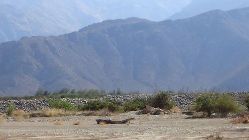 Scenic view of mountain against sky