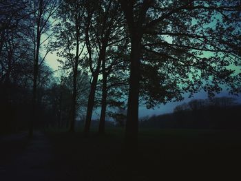 Silhouette trees in forest against sky