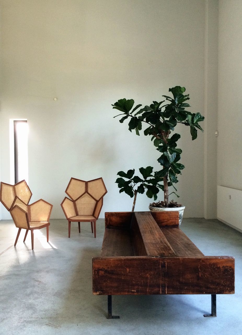 indoors, chair, table, empty, absence, wall - building feature, built structure, architecture, home interior, furniture, house, wall, potted plant, bench, no people, day, wood - material, sunlight, window, seat