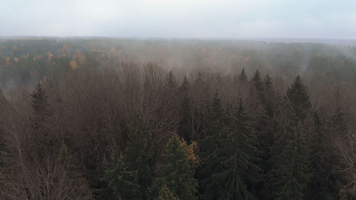 Scenic view of forest against sky during foggy weather