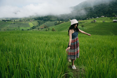 paddy field