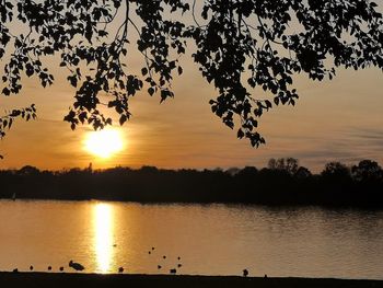 Silhouette tree by lake against sky during sunset