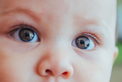 Close-up portrait of boy