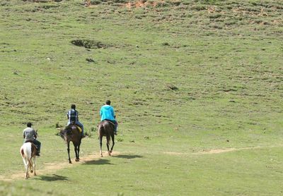 Rear view of men riding horse on field