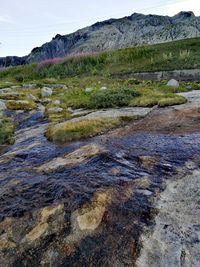 Scenic view of landscape against sky